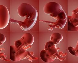 tam-soat-di-tat-thai-nhi-som-tai-phong-kham-da-khoa-quoc-te-ha-noi